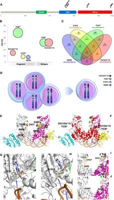 Case report: biallelic DNMT3A mutations in acute myeloid leukemia
